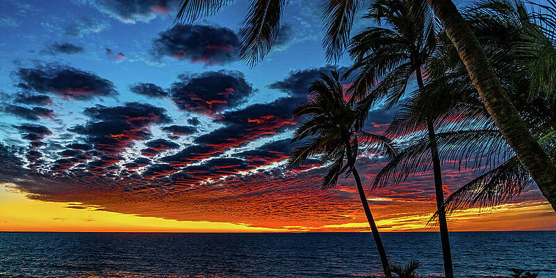 Sunset Wall Art featuring the photograph Epic Sunsets Mazatlan Sinaloa Mexico #2 by Tommy Farnsworth
