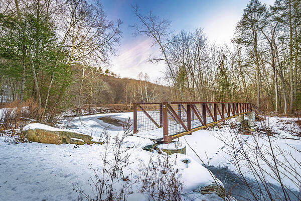 Winter Bridge in Snowy Forest Wall Art