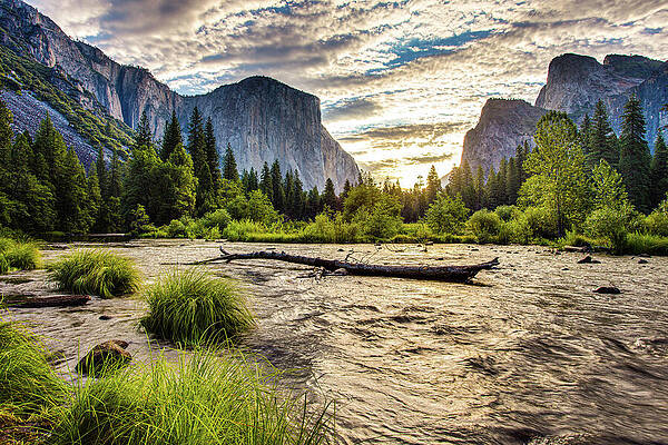 Wall Art featuring the photograph Gates Of The Valley - Yosemite National Park #2 by Adam Mateo Fierro