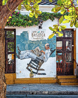 Vibrant Wall Art featuring the photograph Getsemani #2 by Steven Dos Remedios