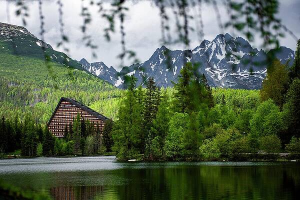 Tree Photograph - High Tatras #2 by Robert Grac