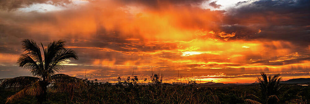 Sunrise Wall Art featuring the photograph Jungle Sunrise From Mazatlan Mexico #2 by Tommy Farnsworth