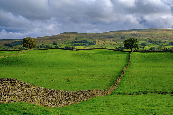 Rolling Hills and Stone Walls Wall Art
