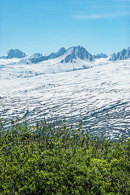 Wall Art featuring the photograph Majestic Mountains Of Thompson Pass Rise Over Trees #2 by Steven Heap
