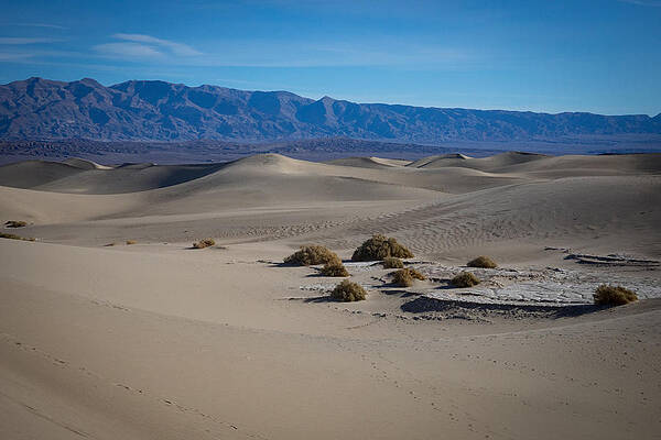 Photograph - Mesquite Flat Sand Dunes #2 by Jonathan Babon
