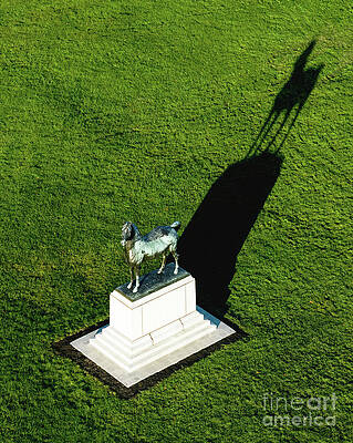 Addison County Photograph - Aerial View Of The Morgan Horse Farm Weybridge Vermont by Eric Killorin