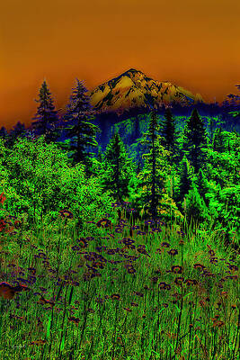 Summer Photograph - Mt. Hood #2 by Bruce Block