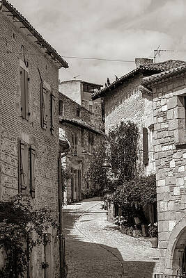 Charming Cobblestone Street Scene Wall Art