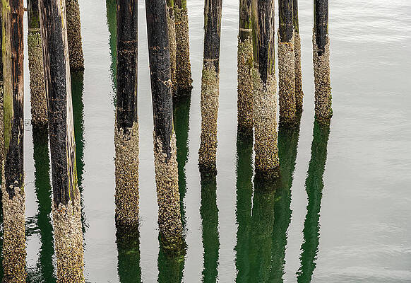 Wall Art featuring the photograph Old Wooden Pier Structure In Bay At Icy Strait Point In Alaska #2 by Steven Heap