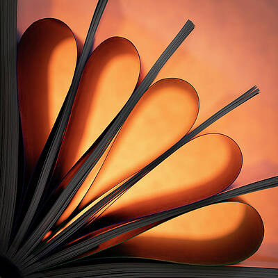 Dramatic Wall Art featuring the photograph Orange Glow #2 by Elvira Peretsman