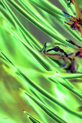 Wall Art featuring the digital art Pacific Chorus Frog  #2 by Bruce Block