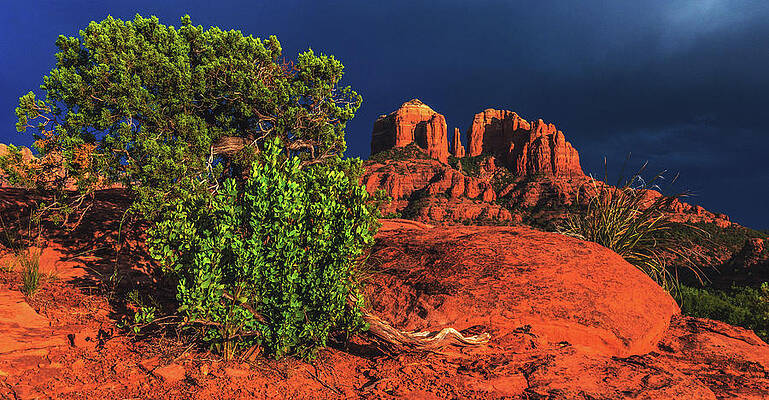 Color Photograph - Sedona Desert Colors, Arizona #2 by Abbie Warnock
