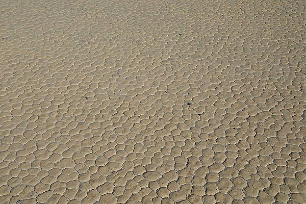 California Wall Art featuring the photograph The Racetrack Playa #2 by Jonathan Babon