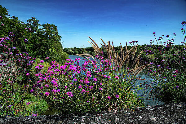 Sky Photograph - Tranquility #2 by Jon Snyder