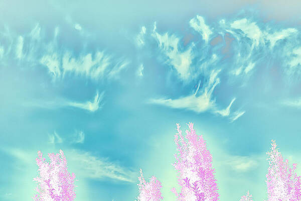 Sky Digital Art - Trees And Sky #2 by Bruce Block