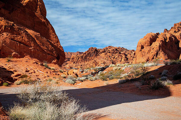 Nevada Wall Art featuring the photograph Valley Of Fire - Contrast by Jonathan Babon