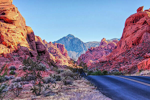Wall Art featuring the photograph Valley Of Fire State Park, Nevada #1 by Tatiana Travelways