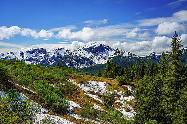 Wall Art featuring the photograph View From Mount Roberts Toward Mt Bradley Above Juneau Alaska #2 by Steven Heap