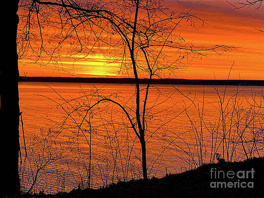 Sunrise Photograph - Wake Up Call #2 by William Norton