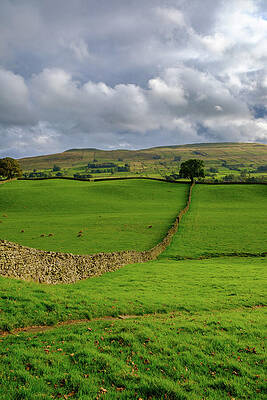 Rolling Hills and Stone Wall Photograph