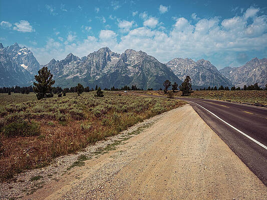 Tree Photograph - Wyoming - Grand Tetons #2 by Robert Niemeier