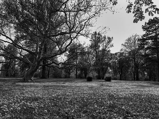 Nature Photograph - Countryside #20 by Robert Grac