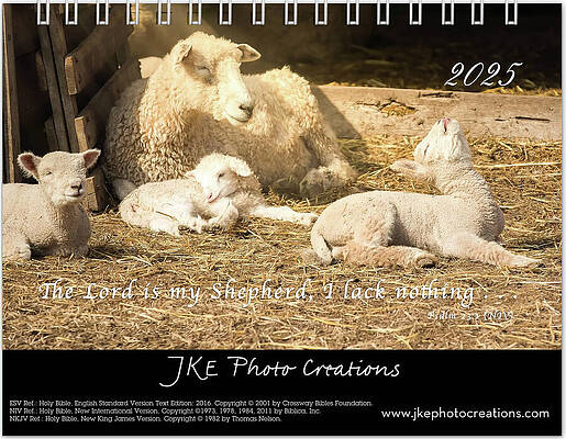 Inspirational Photograph - 2025 Inspirational Calendar Cover Page by Joni Eskridge