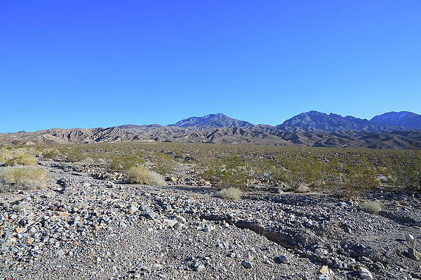 Photograph - Death Valley National Park #22 by Jonathan Babon