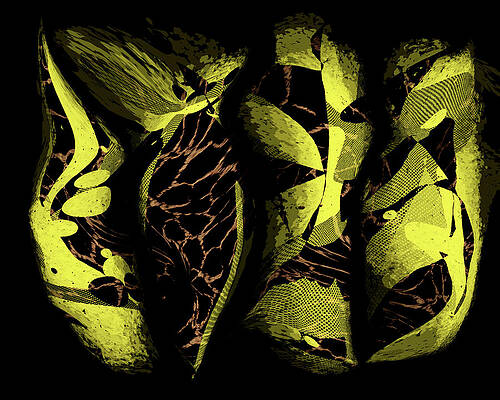 Wall Art featuring the digital art Diva by Marina Flournoy