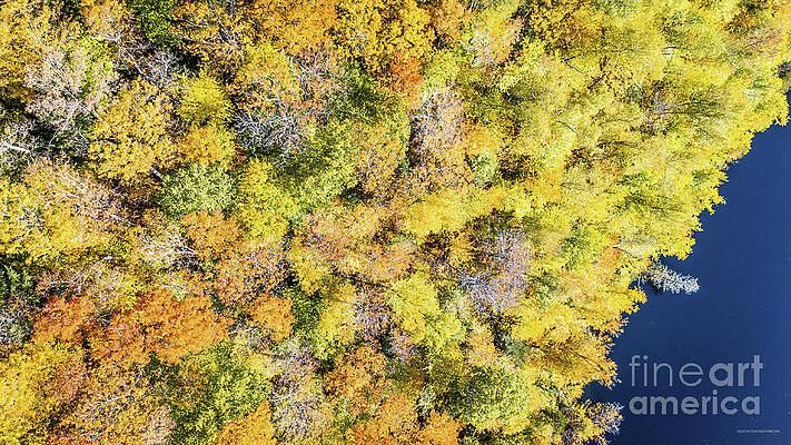 Water Wall Art featuring the photograph Aerial View Of Lake Eligo In Craftsbury, Vermont #3 by Eric Killorin