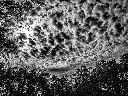 Sky Wall Art featuring the photograph Cloud Play #3 by Louis Dallara