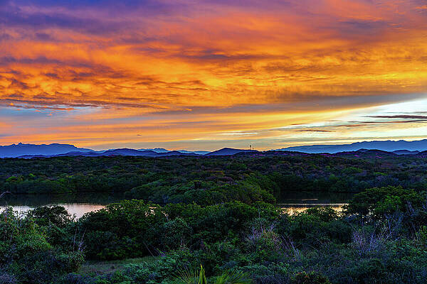 Sunrise Wall Art featuring the photograph Lagoon Sunrise Mazatlan Mexico #3 by Tommy Farnsworth