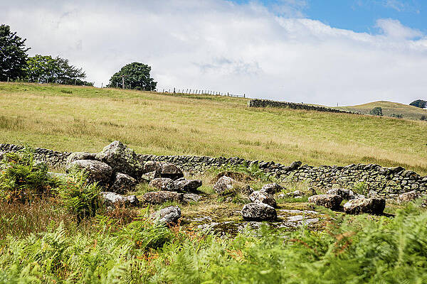 Photograph - Lake District View #3 by Francisco Ruiz Navas