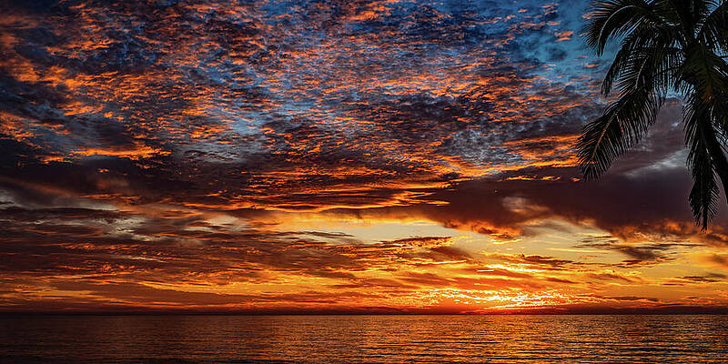 Sunset Wall Art featuring the photograph Sunsets Mazatlan Mexico #3 by Tommy Farnsworth