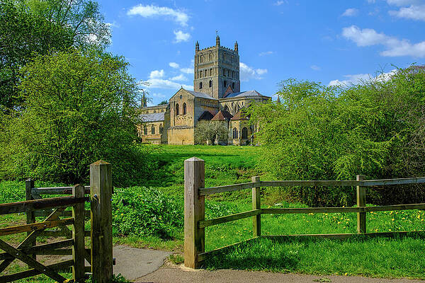 Historic Cathedral Amidst Lush Greenery Photograph