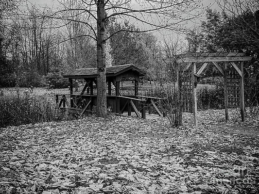 Architecture Wall Art featuring the photograph The Foot Bridge #3 by William Norton