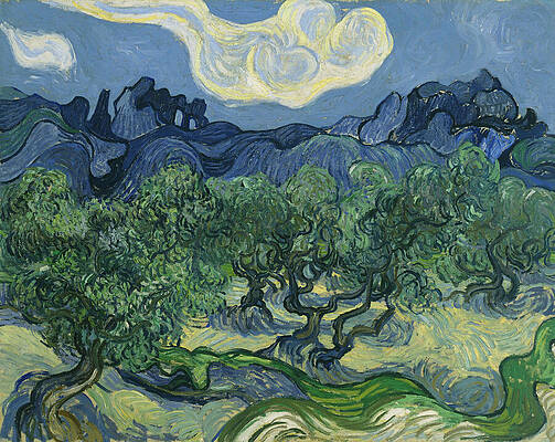 Yellow Wall Art featuring the painting The Olive Trees by Vincent Van Gogh