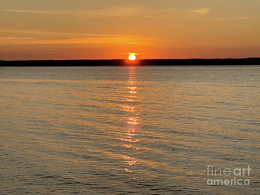 Sunrise Photograph - Wake-up Call #3 by William Norton