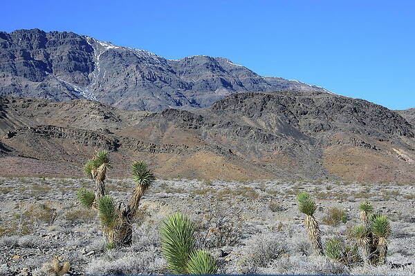 Photograph - Death Valley National Park #30 by Jonathan Babon
