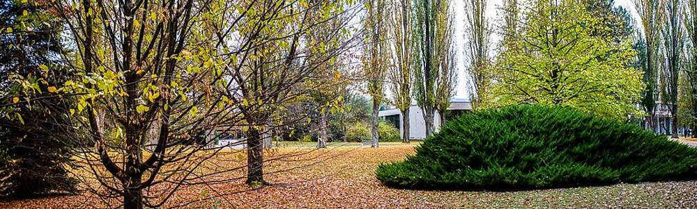 Tree Photograph - Autumn #31 by Robert Grac