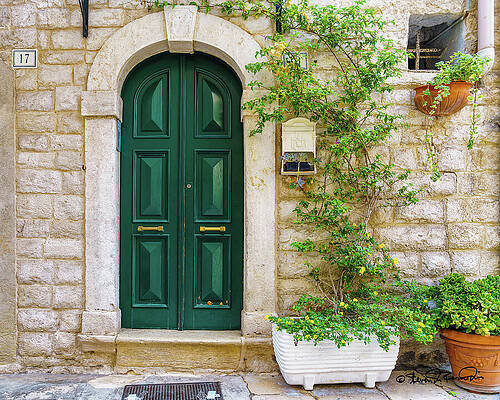 Flower Photograph - Architectural Style #4 by Steven Dos Remedios