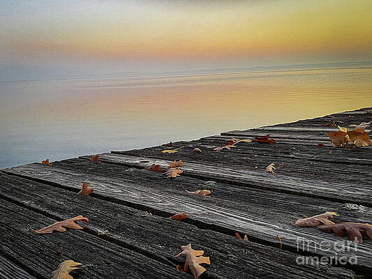 Fall Photograph - Autumn #4 by William Norton