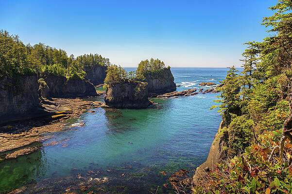 Wall Art featuring the photograph Coastal Cliffs And Rocky Shoreline At Cape Flattery, Washington State #4 by Miroslav Liska