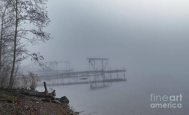Serene Wall Art featuring the photograph Morning Fog #4 by William Norton