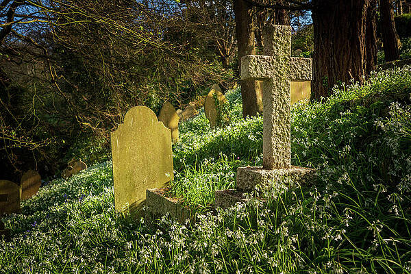 Beautiful Photograph - St Just In Roseland Parish Church In Cornwall UK #4 by Steven Heap