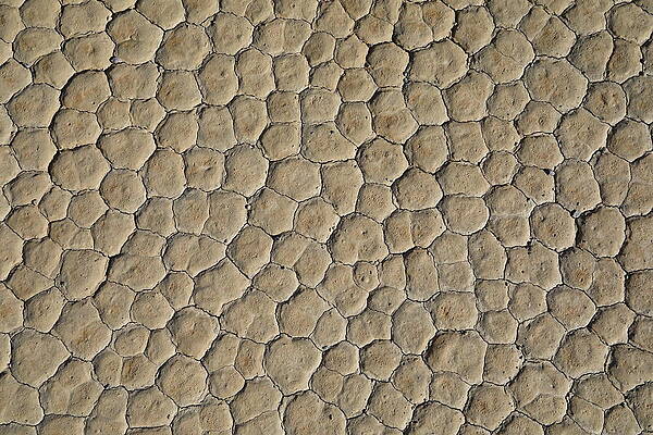 Photograph - The Racetrack Playa #4 by Jonathan Babon