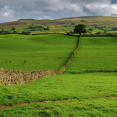 Rolling Hills and Stone Wall Photograph