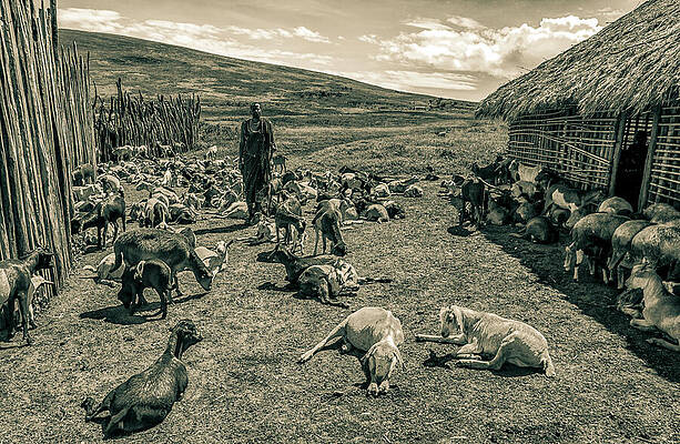 Tanzania Wall Art featuring the photograph Maasai Village Ngorongoro Tanzania East Africa 4231 by Neptune Images