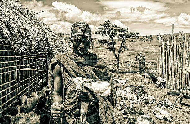 Tanzania Wall Art featuring the photograph Portrait Maasai Warrior And Prized Goat 4281 by Neptune Images