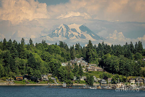 Landscape Photograph - 4793_Mt. Rainier by Mark Triplett